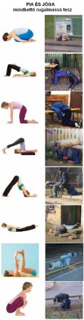Jóga és pia-mindkettő rugalmassá tesz...